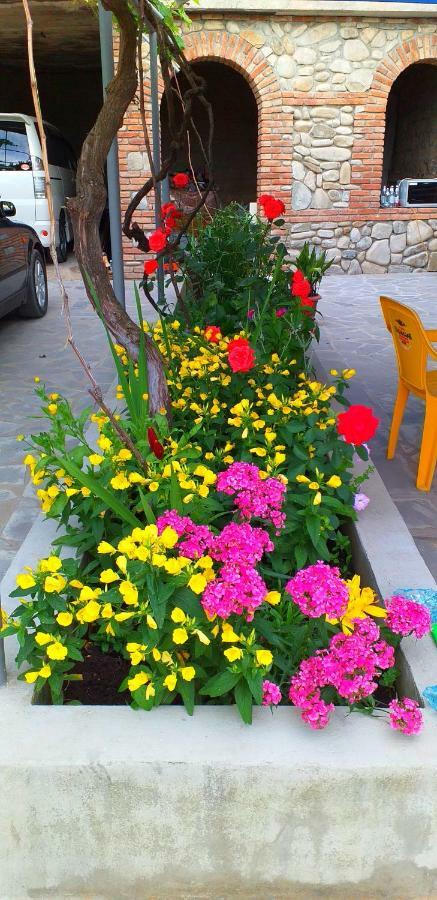 Tsminda Giorgi Apartment Siğnaği Dış mekan fotoğraf